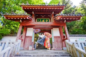 05-10 | 和装ロケ