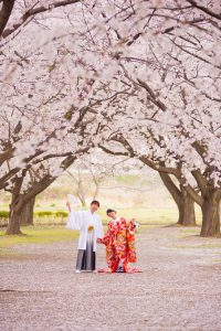 A-248-1 | 和装ロケ