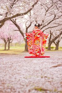 A-254-1 | 和装ロケ