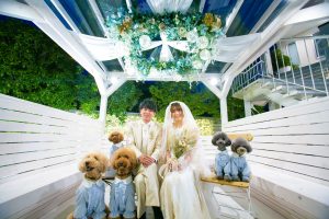 DRC_0113 | 洋装スタジオ