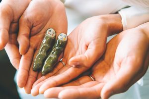 DRC_0161 | 和装スタジオ