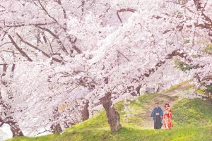 DSC_3218 | 和装ロケ