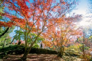 M_0023 | 和装ロケ