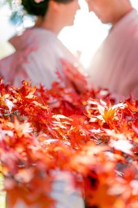 M_0054 | 和装ロケ