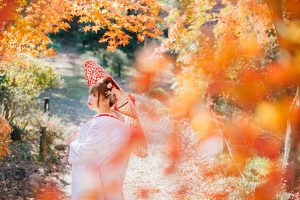 M_0077 | 和装ロケ