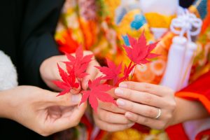 M_0169 | 和装ロケ